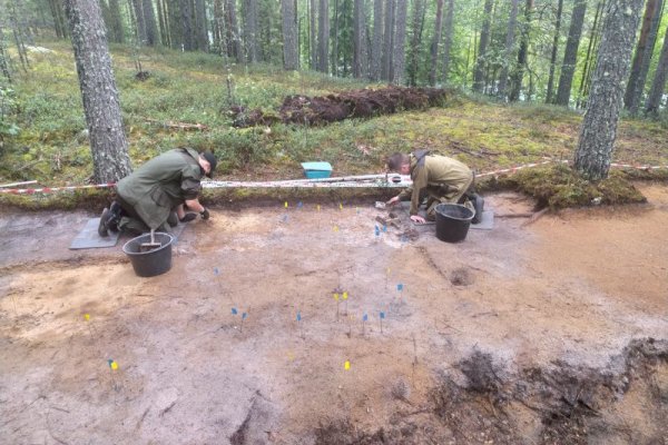 Археологи Коми доисследовали древнейшее поселение древних людей в окрестностях Седкыркеща