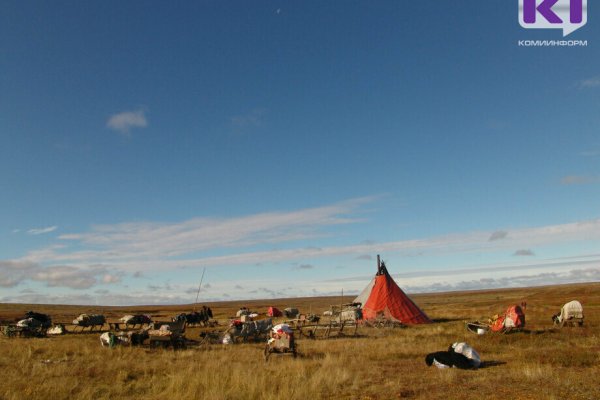 В Коми меры соцподдержки получают 277 оленеводов