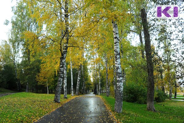 Прогноз погоды на 13 сентября: в Сыктывкаре без осадков и +12°С