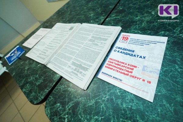 Избирательная кампания в Коми прошла без серьезных нарушений на участках - председатель Избиркома