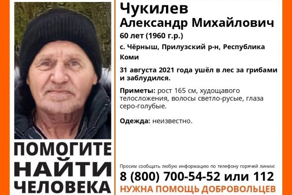 Родные пропавшего в Прилузье грибника объявили вознаграждение в 50 тысяч рублей 