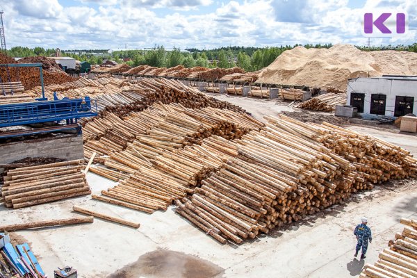 Деревообрабатывающий кластер Коми включен в реестр Минпромторга России
