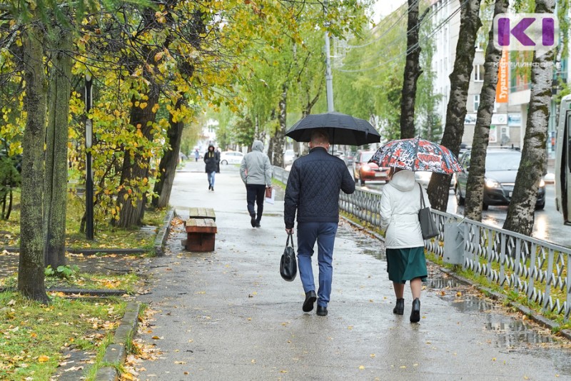 Погода в Коми на 3 октября: небольшой дождь, на крайнем северо-востоке - осадки в виде снега