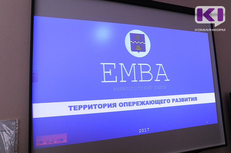 Правительство России расширило перечень видов деятельности ТОР "Емва" в Коми
