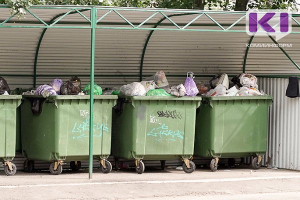 Сыктывкарцы жалуются на мусорки возле ТЦ 
