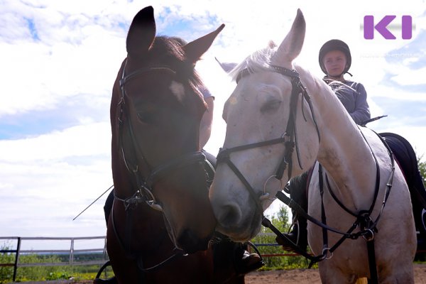 В выльгортской школе по конному спорту капитально отремонтируют конюшню и установят новое ограждение