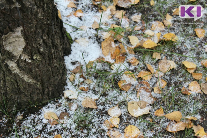 В Сыктывкаре в середине недели выпадет первый снег