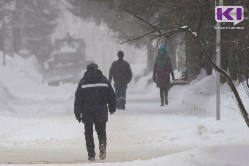 В семи районах Коми ожидается сильный снег и ухудшение видимости