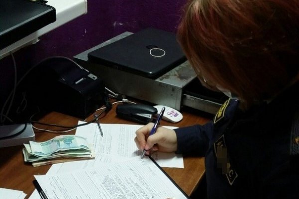 В Сыктывкаре судебный пристав изъяла наличные у должника по налогам   

