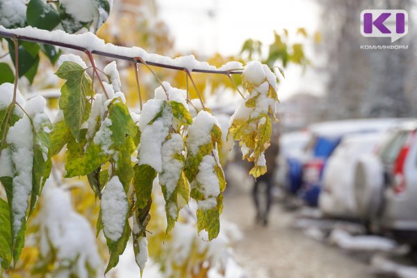 Прогноз погоды в Коми на 28 октября: на севере сильный снег, на юге - умеренные осадки