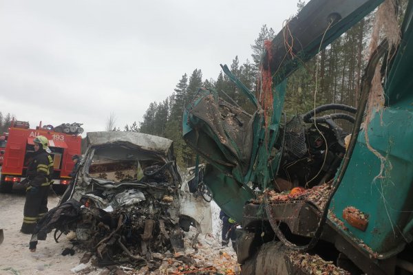Погибший под Ухтой водитель выехал на встречную полосу и врезался в грузовик Tatra
