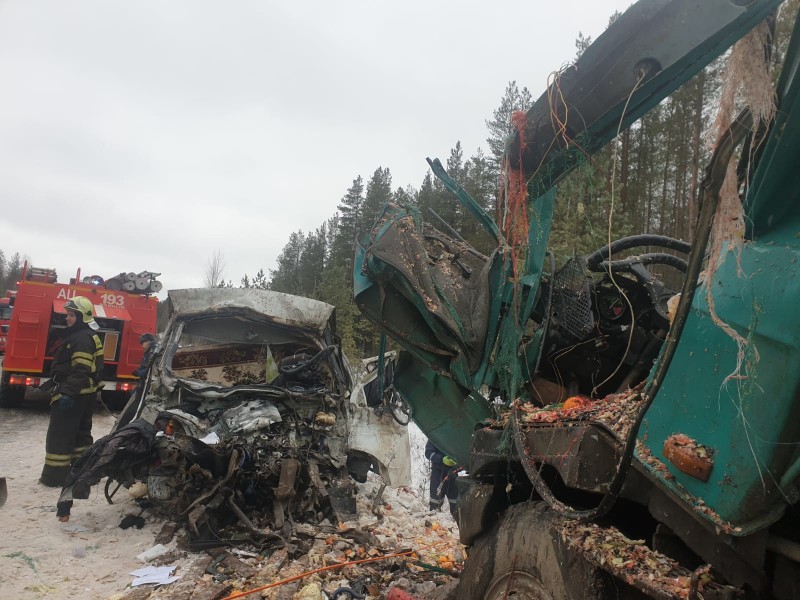 Погибший под Ухтой водитель выехал на встречную полосу и врезался в грузовик Tatra