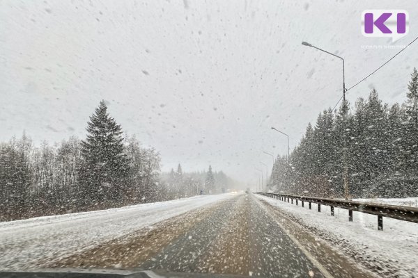 В пяти районах Коми ожидается сильный снег