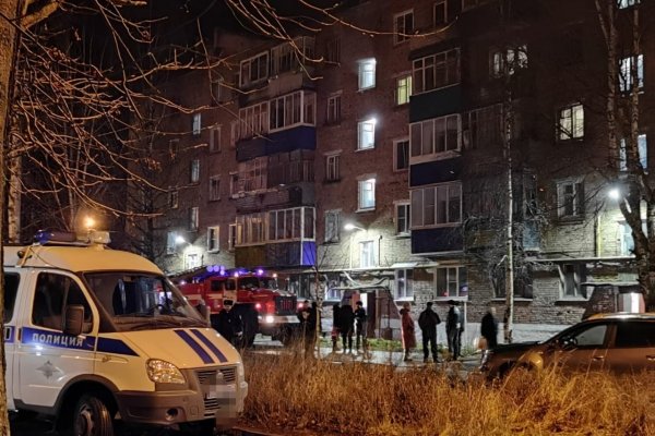 В Княжпогостском районе на пожаре погиб мужчина