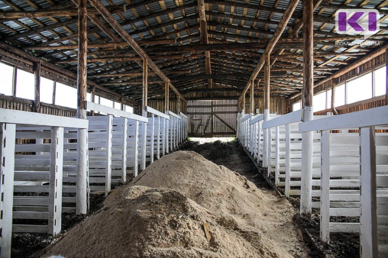Молочное скотоводство в Коми продолжает оставаться убыточным