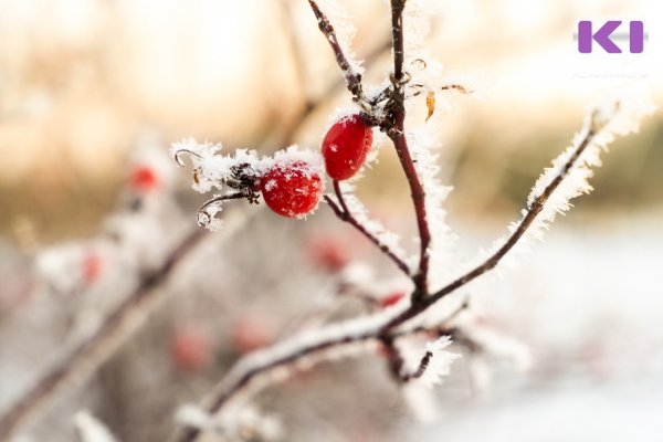 Прогноз погоды в Коми на 13 ноября: гололед, местами небольшой снег