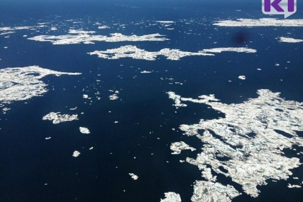 Все ранее отнесенные к Крайнему Северу территории вошли в проект единого перечня