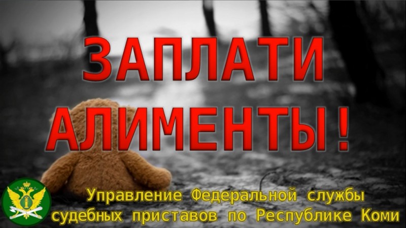 В Усть-Куломском районе отца шестерых детей наказали за неуплату алиментов