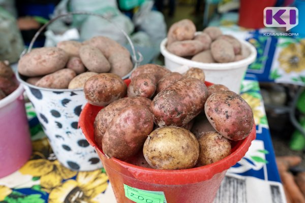 Сбор овощей открытого грунта в Коми уменьшился на треть, а картофеля - на 3,7%
