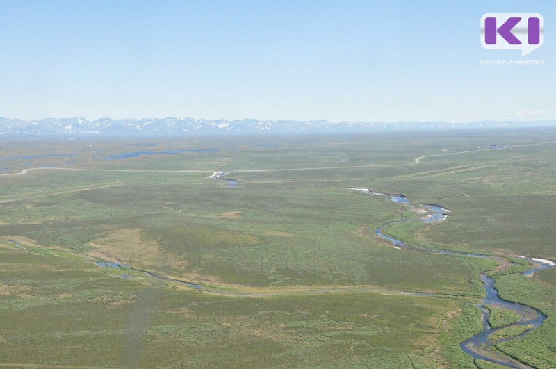 Какие новые территории Коми войдут в программу "Гектар в Арктической зоне РФ"