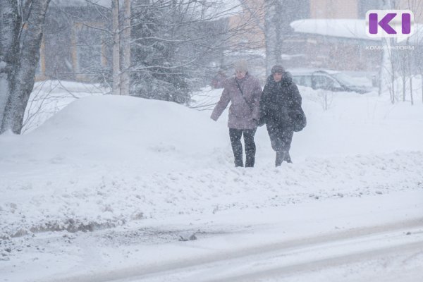 Прогноз погоды в Коми на 26 ноября: снег и метель