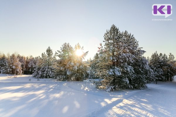 Прогноз погоды в Коми на 3 декабря: на севере к вечеру похолодает до -23...-28°C