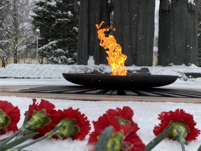 Красные гвоздики и уроки мужества: в Сыктывкаре отмечают День неизвестного солдата