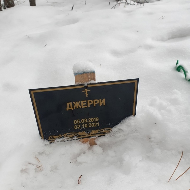 На Корткеросском кладбище похоронили животное, местные жители возмущены 