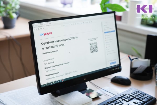 Глава СПЧ не поддержал амнистию для покупателей поддельных сертификатов

