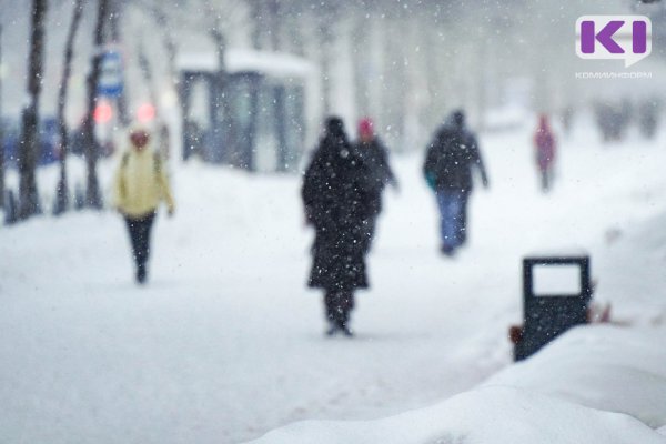 Погода в Коми 17 декабря: небольшой снег и -7°С
