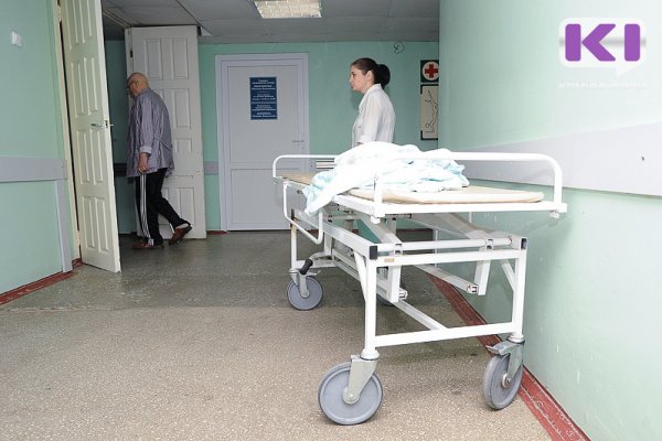 Сыктывкарский врач Этери Мамедова: 