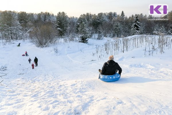 Погода в Коми на 2 января: небольшой снег и -14°С
