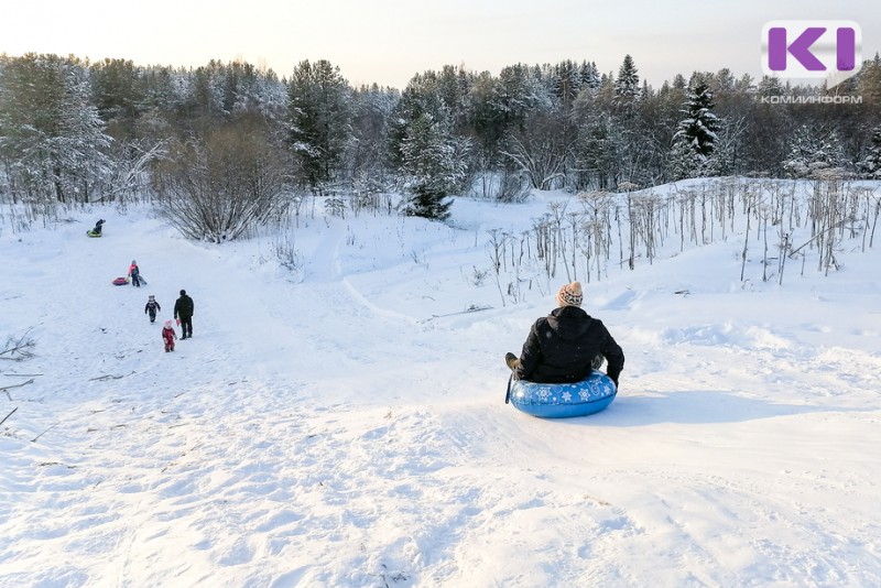 Погода в Коми на 2 января: небольшой снег и -14°С
