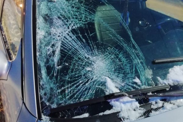 В Сыктывкаре неопытный водитель Hyundai сбил пешехода на зебре
