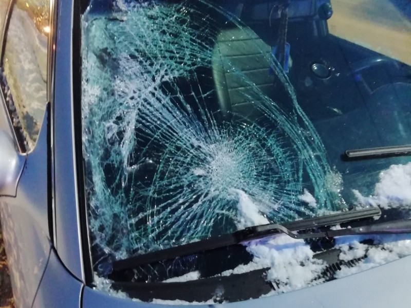 В Сыктывкаре неопытный водитель Hyundai сбил пешехода на зебре