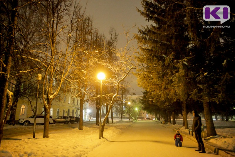 Погода в Коми на 20 января: небольшой снег и южный ветер