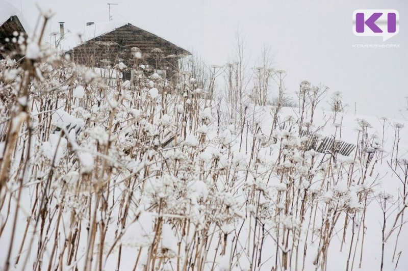Погода в Коми на 22 января: умеренный снег,  днем  -7...-12°С