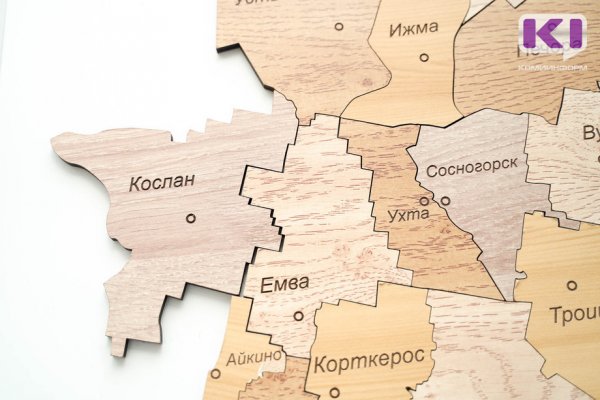 Советы Сысольского и Княжпогостского района поддержали законопроект о муниципальной реформе с условием его доработки