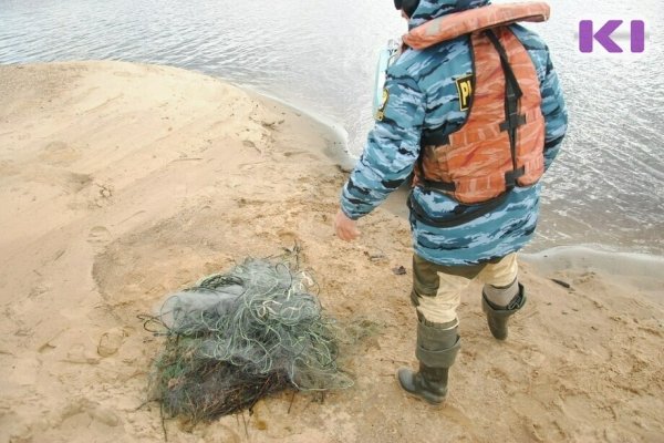 Реку Мезень закроют для рыболовства на четыре года 
