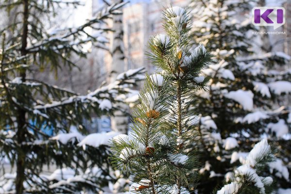 Погода в Коми 29 января: небольшой снег, гололед, днем -8...-13°С
