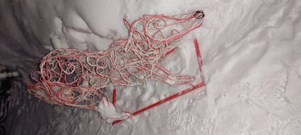 В Сыктывкаре похитившие фигурку новогодней лисы студенты предстанут перед судом 

