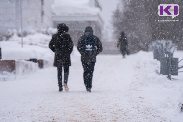 Погода в Коми на 7 февраля: южный ветер и небольшой снег