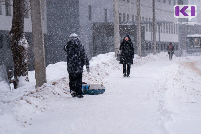 Погода в Коми на 9 февраля: небольшой снег и ветер