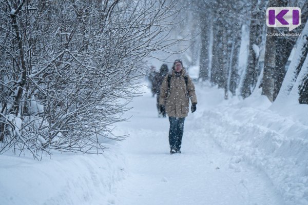 Погода в Коми 11 февраля: небольшой снег, местами метель