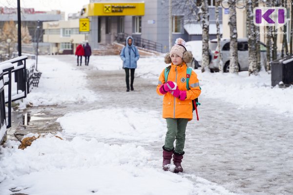 Аномально теплой прогнозируется вторая декада февраля в Коми