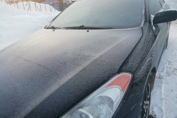 Сыктывкарка оплатила 107 штрафов ГИБДД  

