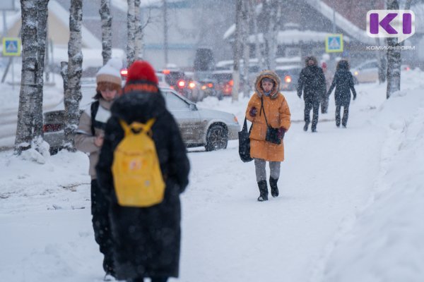 Погода в Коми 23 февраля: облачно и много снега