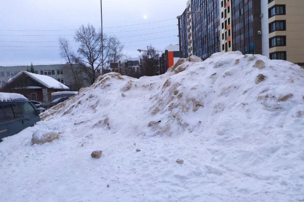 В Стройжилтехнадзоре Коми рассказали, кто должен платить за вывоз снега  