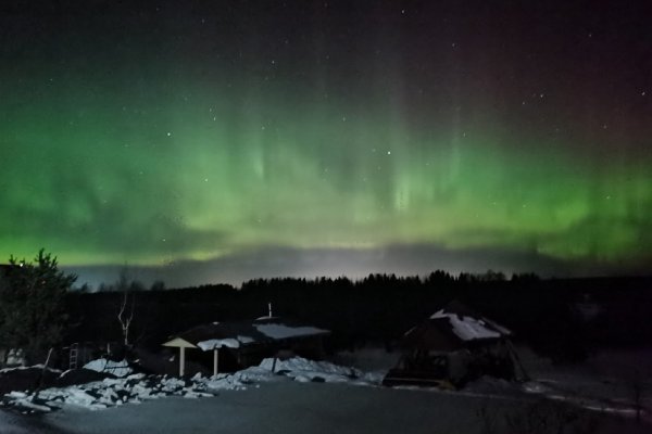 Небывалое северное сияние осветило небо от Удоры до Сыктывдина 