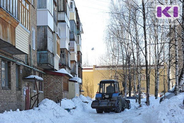 Коммунальщики Сыктывкара займутся лечением поврежденных при уборке снега техникой деревьев